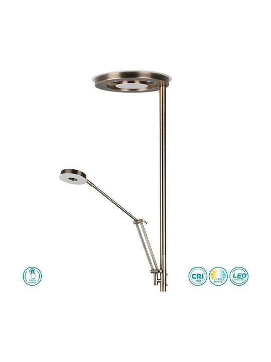 Trio Lighting Barrie Vintage LED Floor Lamp H181xW30cm. with Adjustable White Light 4000lm Bronze