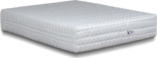 Ypnos Aphrodite Fast Memory Ημίδιπλο Ανατομικό Στρώμα Memory Foam Διπλής Όψης 110x200cm με Ανεξάρτητα Ελατήρια