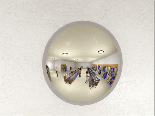 Next Systems Traffic Mirror 60cm Hemispherical Monitoring Mirror Diameter 60cm