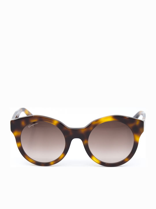 Salvatore Ferragamo Women's Sunglasses with Brown Tartaruga Plastic Frame