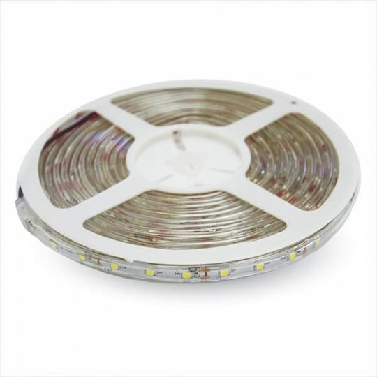 V-TAC Αδιάβροχη Ταινία LED 12V Ψυχρό Λευκό Φως 5m Τύπου SMD3528