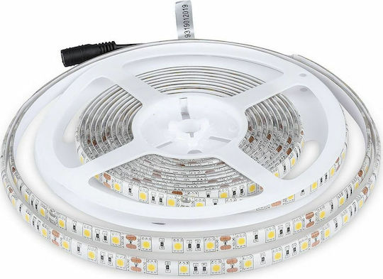 V-TAC Αδιάβροχη Ταινία LED 12V Ψυχρό Λευκό Φως 5m Τύπου SMD5050