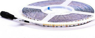 V-TAC Bandă LED Alimentare 24V cu Lumină Alb Rece Lungime 10m și 240 LED-uri pe Metru SMD2835