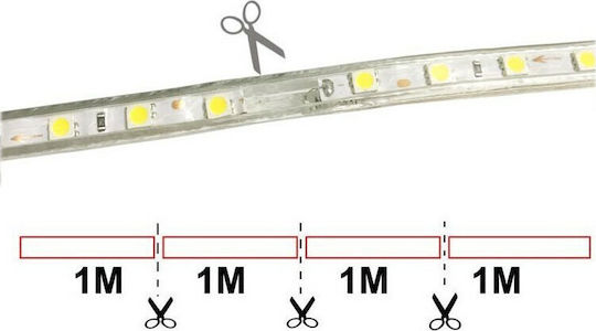 Universe Αδιάβροχη Ταινία LED 220V Φυσικό Λευκό Φως 1m Τύπου SMD5050