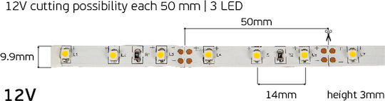 VK Lighting LED Лента 12V Лилав Светлина 5м Тип SMD3528
