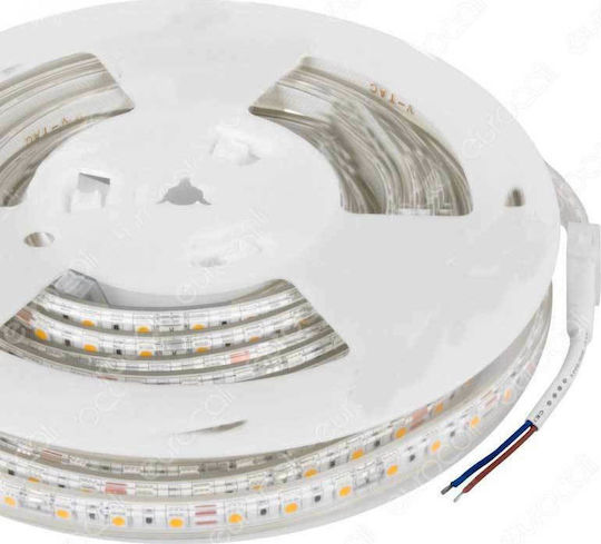 V-TAC Rezistent la apă Bandă LED 24V Alb Cald Lumină 5m Tip SMD5050