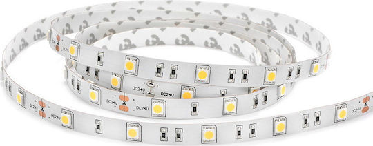 Lucas Bandă LED 12V Alb Cald Lumină 5m Tip SMD5050