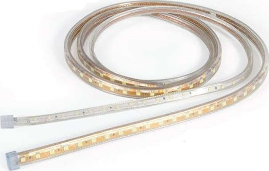 Power Led Ταινία LED 2RLS2301446554 220V Ψυχρό Λευκό Φως 1m Τύπου SMD5050