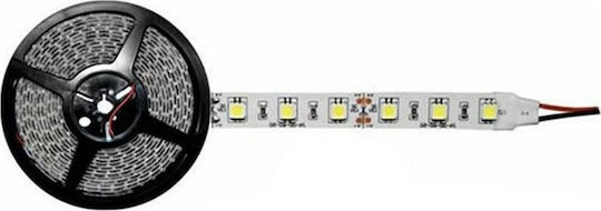 Atman LED Strip 12V Blue Light 5m Type SMD2835