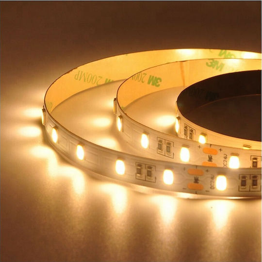 Atman LED Strip 12V Cold White Light 5m Type SMD5630