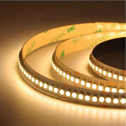 Atman LED Strip 12V Cold White Light 5m Type SMD3528