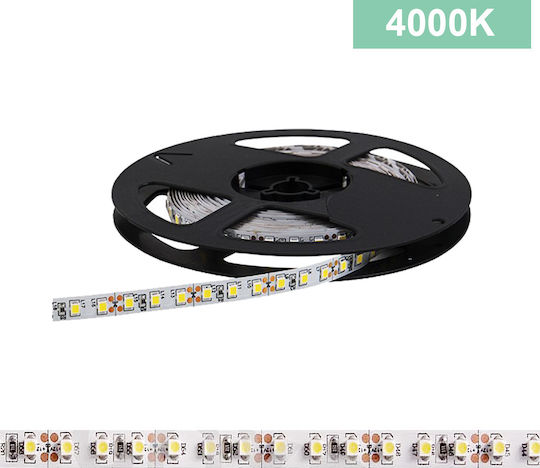 Vivalux LED Strip 12V Natural White Light 5m Type SMD2835