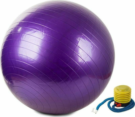 Pilates Ball 65cm in Purple Colour