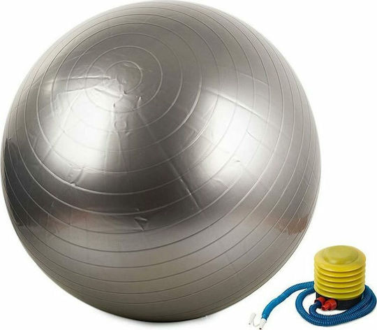14172 Μπάλα Pilates 65cm σε Ασημί Χρώμα