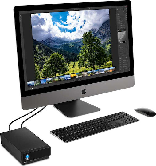Lacie 1big Dock Thunderbolt 3 / USB-C Externe HDD 8TB Multi-Bay Schwarz