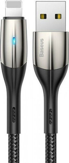 Baseus Braided USB to Lightning Cable Μαύρο 2m (CALSP-C01)