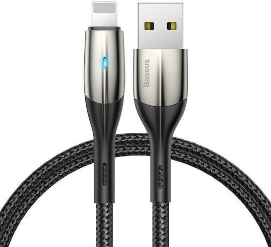 Baseus Braided USB to Lightning Cable Μαύρο 2m (CALSP-C01)