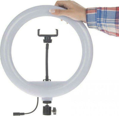 YQ-320B Ring Light 30cm 2500 - 4500K și Suport pentru Mobil