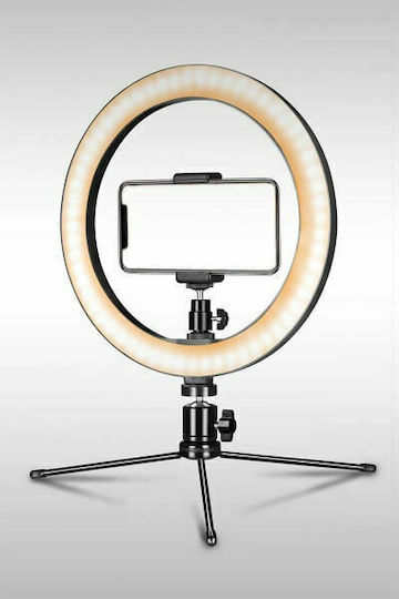 Ring Lamp Ring Light 26cm 2500 - 4500K with Desktop Tripod and Mobile Phone Holder
