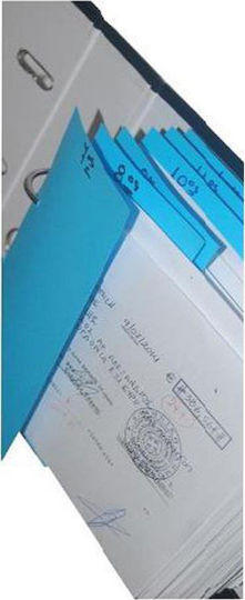 Next Paper Dividers for Documents with Holes 100pcs