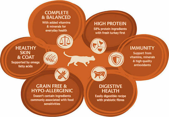 Wellness Core Original Grain Free Dry Food Grain-Free for Adult Cats with Chicken / Turkey 4kg