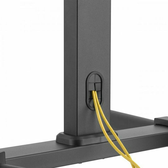 Sbox FS-500 FS-500 Suport TV pardoseală până la 70" și 40kg Suport cu role