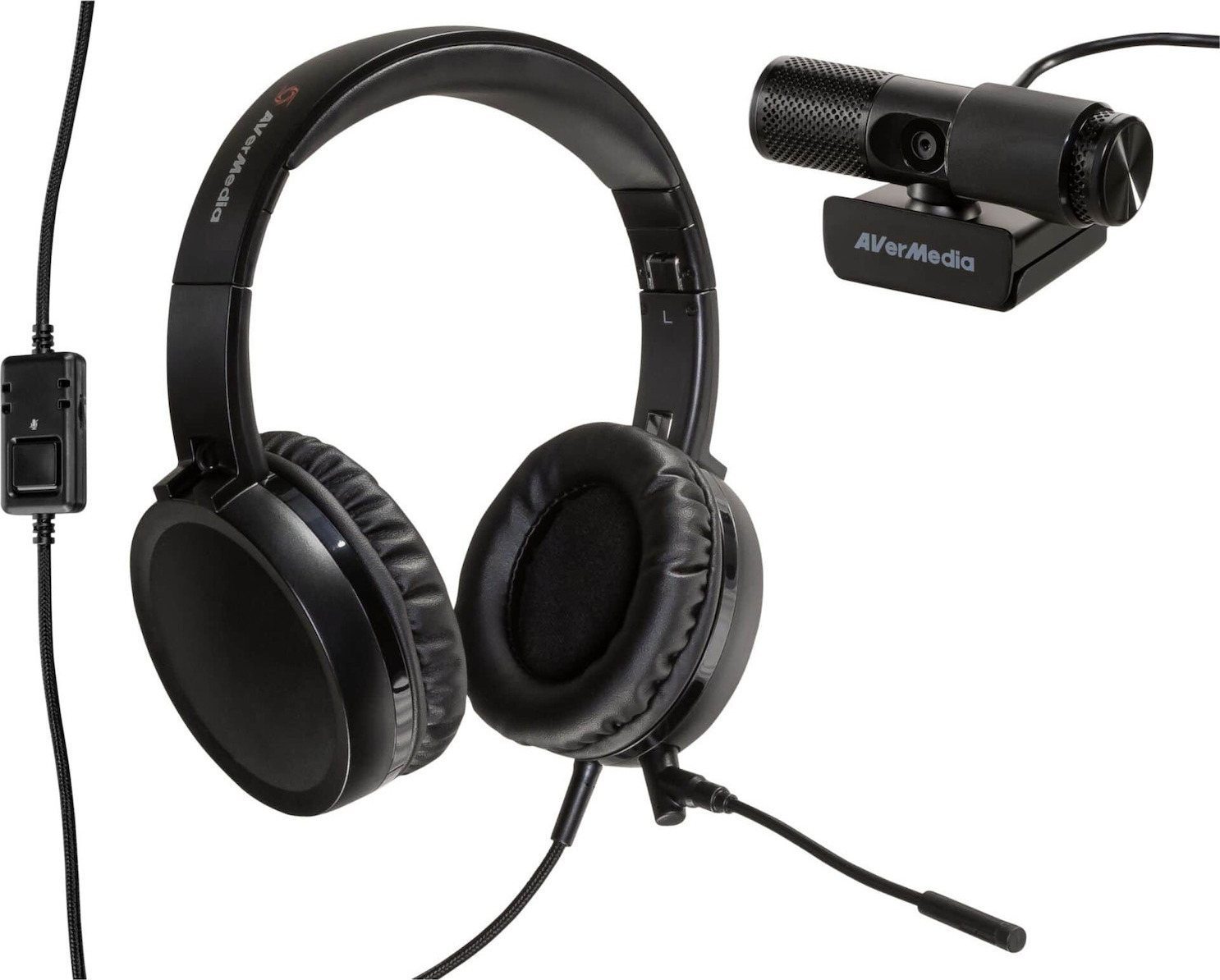 AVerMedia Video Conference Kit 317 (BO317) + Headset  Camera Full HD