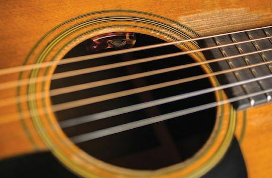 LR Baggs Lyric Soundhole Κάψα