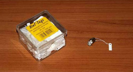 Stef Labels Price Label 19mmx6mm