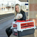 Ferplast Atlas 20 Trendy Plus Gray Dog Transport Cage 58x32x37cm