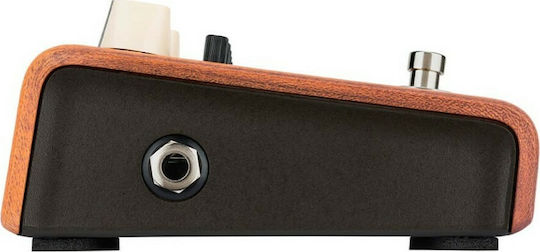 LR Baggs Align Series Pedală Egalizator Chitară electrică