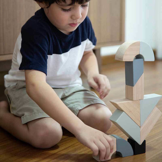 Plan Toys Τουβλάκια Περιστρεφόμενα Ξύλινα για 2+ Ετών 14τμχ