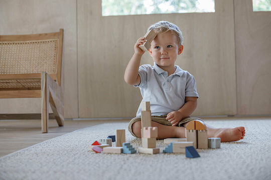 Plan Toys Cuburi De Construit Colorate Din Lemn Pentru 3+ Ani 30 Bucăți