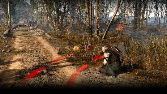 The Witcher 3: Wild Hunt Game of the Year Edition (Key) PC Game