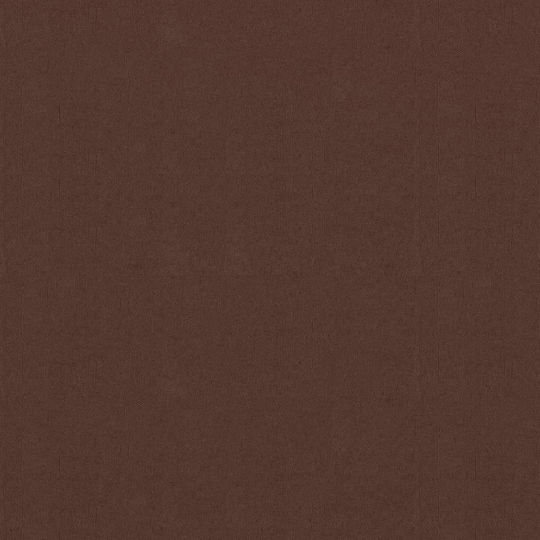 vidaXL Rectangular Shade Divider Brown in Roll With Hoop & with PU Coating 0.75x3m made of Oxford fabric