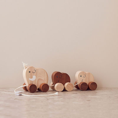 Kids Concept Slide Toy Συρόμενη Οικογένεια Μαμούθ made of Wood for 12++ Months