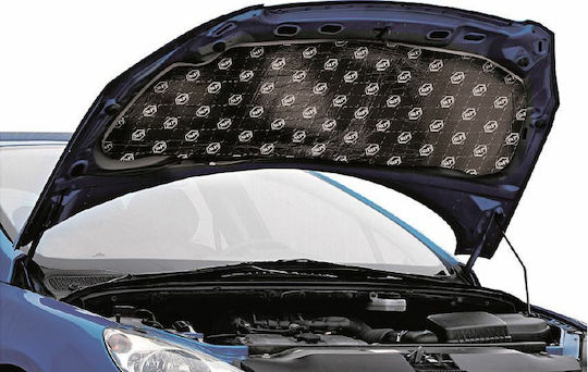 StP Hood Solution