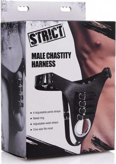 XR Strict Leather Male Chastity Harness