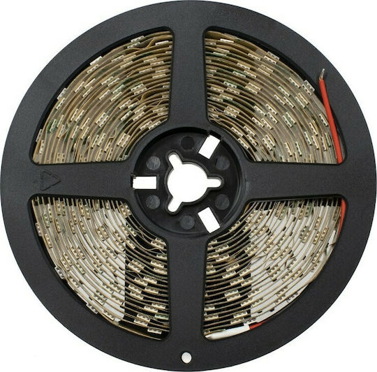 GloboStar LED Лента 24V Червено Светлина 5м Тип SMD5050