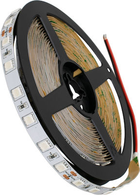 GloboStar LED Streifen Versorgung 24V mit Rot Licht Länge 5m und 60 LED pro Meter SMD5050