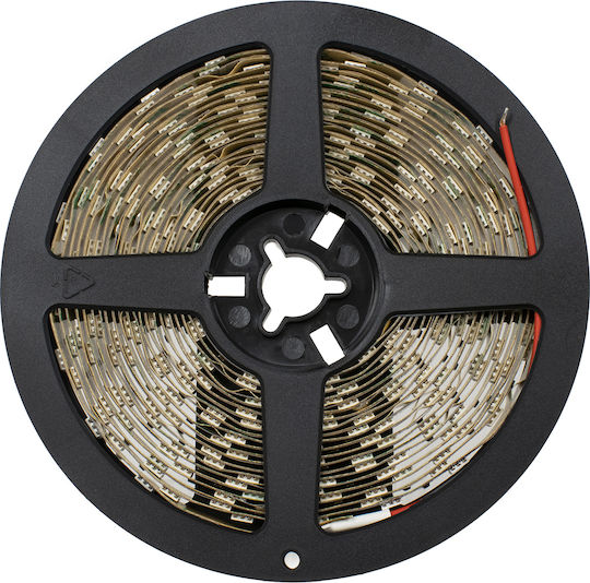 GloboStar Ταινία LED 24V Ροζ Φως 5m Τύπου SMD5050
