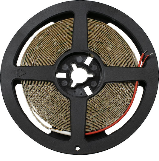 GloboStar Ταινία LED 24V Ροζ Φως 5m Τύπου SMD2835