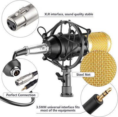 Next Condenser (Large Diaphragm) XLR Microphone Kit Shock Mounted/Clip On Mounting in Pink Color