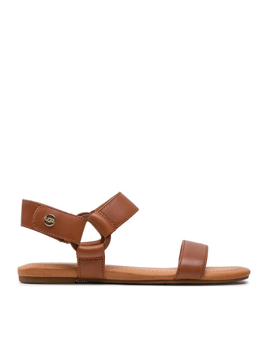 1117284 Leather Women's Flat Sandals with Strap in Tabac Brown Color