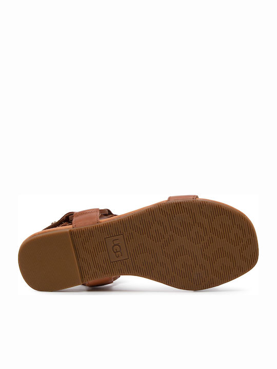 1117284 Leather Women's Flat Sandals with Strap in Tabac Brown Color