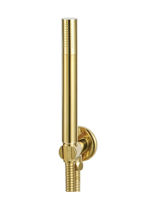 vidaXL Built-in Mixer, Hand Shower & Shower Head Set for Shower 2 Exits Inox Gold
