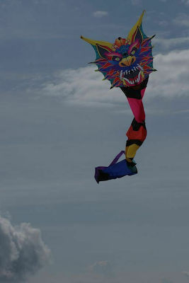 Folding Fabric Kite with Tail & Twine 770x87cm