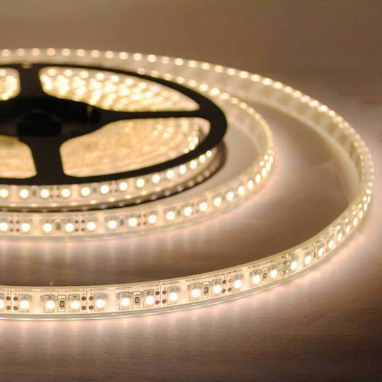 Lucas Ταινία LED 12V Ψυχρό Λευκό Φως 5m Τύπου SMD5050 με Τροφοδοτικό