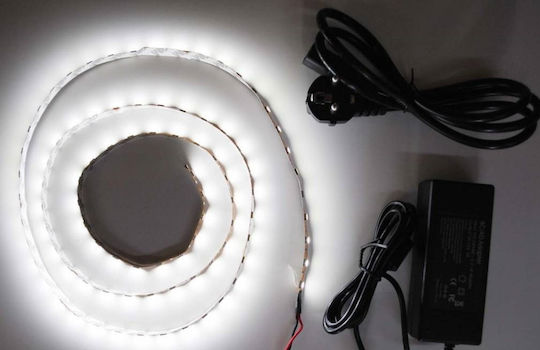 Lucas Ταινία LED 12V Ψυχρό Λευκό Φως 5m Τύπου SMD5050 με Τροφοδοτικό