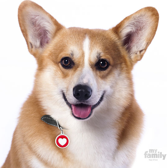 My Family Charms Hunde-Identifikationsmarke Herz Weiße Metall Personalisierung